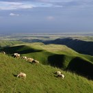TIBETAN PLATEAU